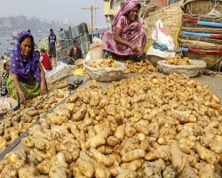 আবার অস্থির হয়ে উঠেছে আদার বাজার